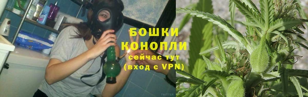 индика Каменка