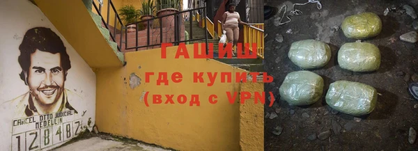 индика Каменка