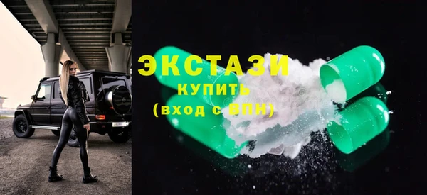 индика Каменка