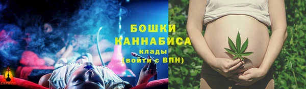 индика Каменка