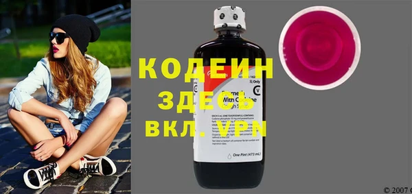 индика Каменка