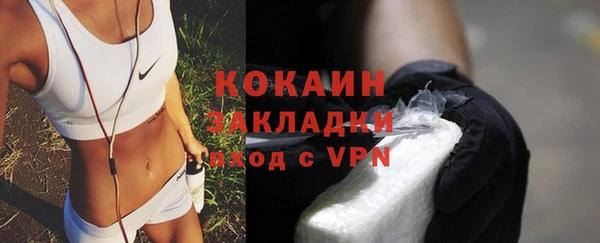 индика Каменка