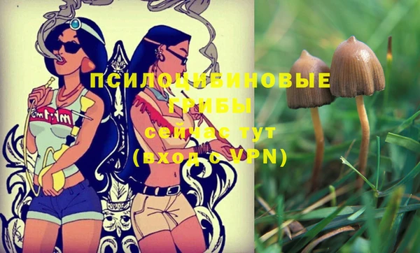 винт Каменск-Шахтинский