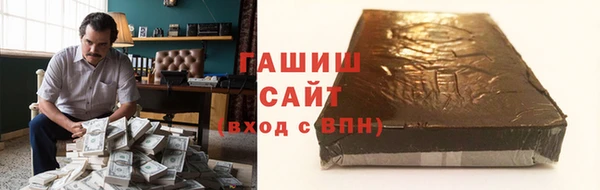 индика Каменка