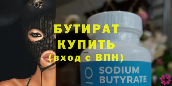 индика Каменка