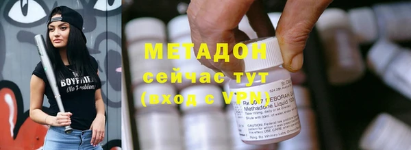 индика Каменка