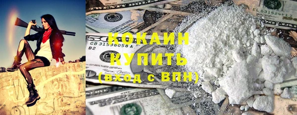 индика Каменка