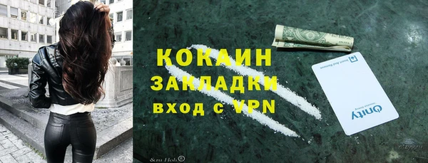 индика Каменка