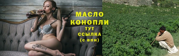 индика Каменка
