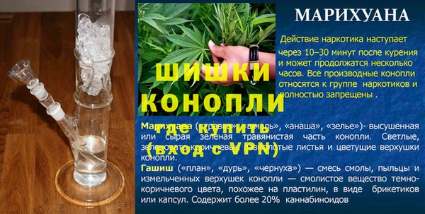 индика Каменка