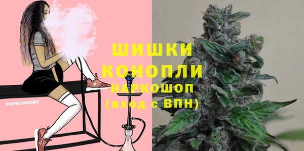 индика Каменка