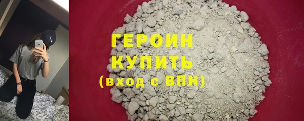 индика Каменка