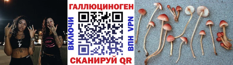 Псилоцибиновые грибы Psilocybine cubensis  Харабали 